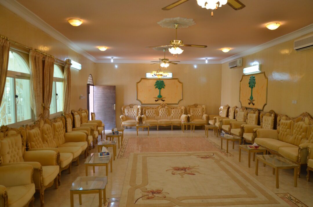ديوانية الضربة