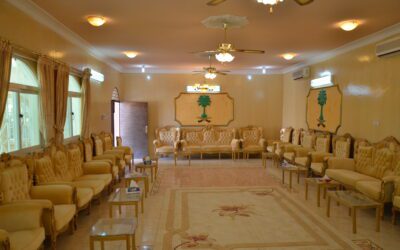ديوانية الضربة