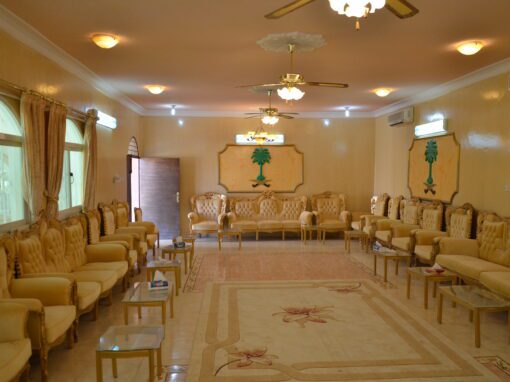 ديوانية الضربة